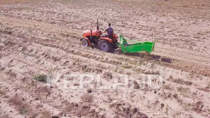 Картофелекопалка транспортерная КТ-1